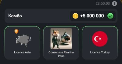 Комбо для хомяка Hamster Kombat / 25.06.24