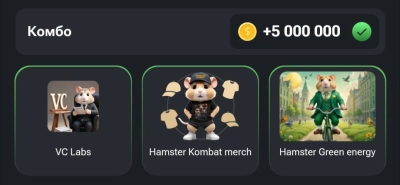 Комбо для хамстер Hamster Kombat / 24.06.2024